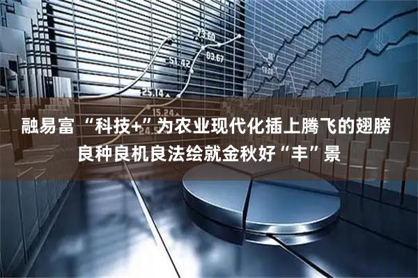 融易富 “科技+”为农业现代化插上腾飞的翅膀 良种良机良法绘就金秋好“丰”景