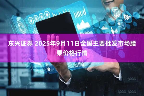 东兴证券 2025年9月11日全国主要批发市场腰果价格行情