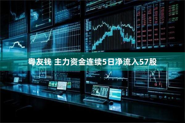 粤友钱 主力资金连续5日净流入57股