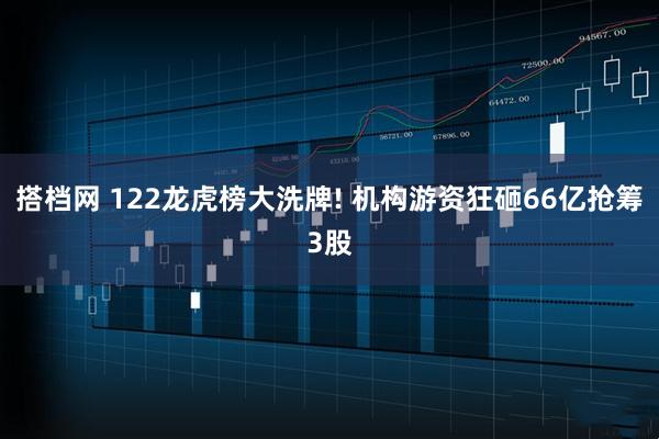 搭档网 122龙虎榜大洗牌! 机构游资狂砸66亿抢筹3股