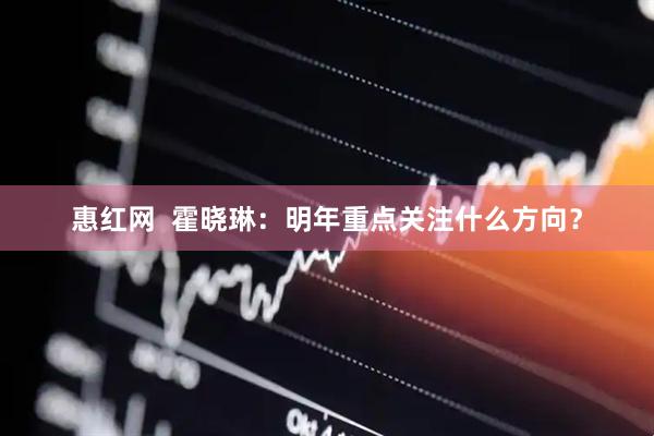 惠红网  霍晓琳：明年重点关注什么方向？