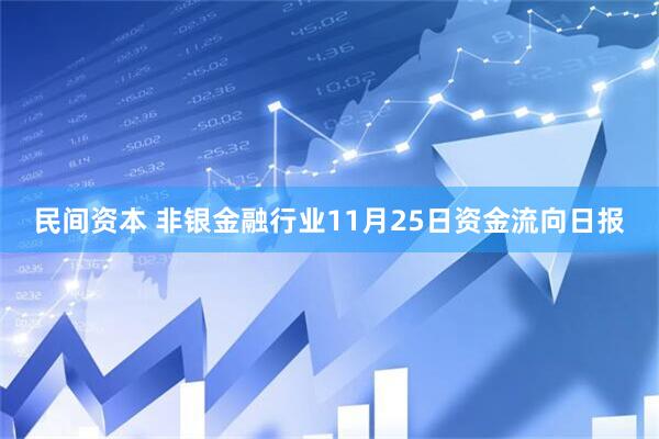 民间资本 非银金融行业11月25日资金流向日报