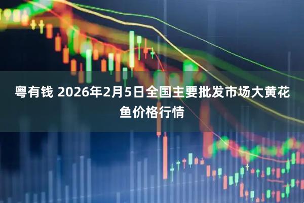 粤有钱 2026年2月5日全国主要批发市场大黄花鱼价格行情