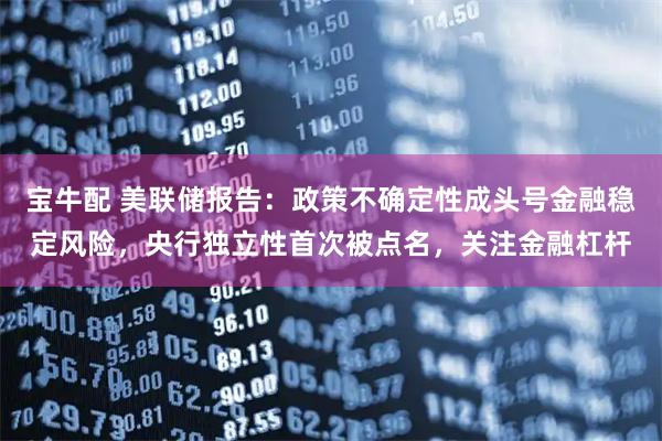 宝牛配 美联储报告：政策不确定性成头号金融稳定风险，央行独立性首次被点名，关注金融杠杆