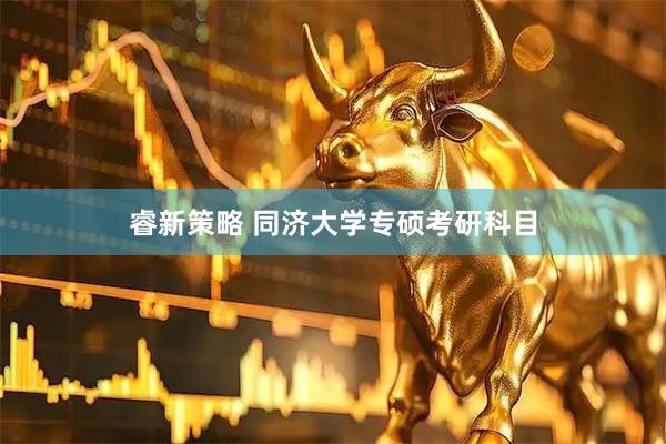 睿新策略 同济大学专硕考研科目