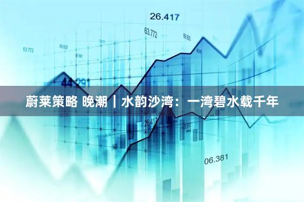 蔚莱策略 晚潮｜水韵沙湾：一湾碧水载千年